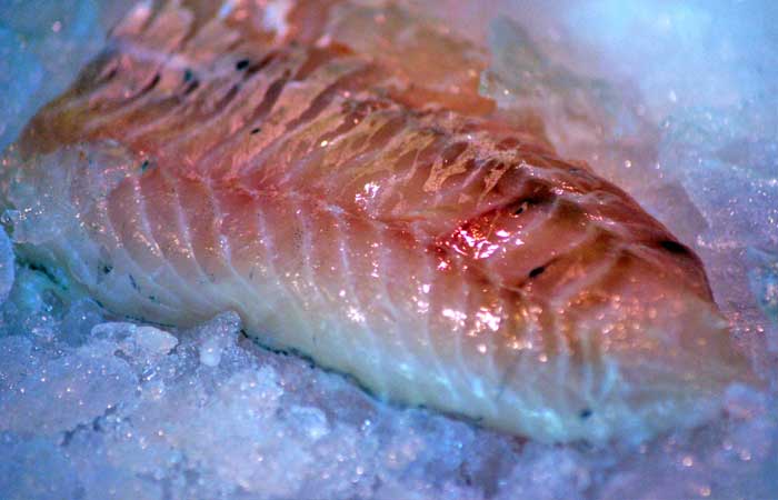 fisch